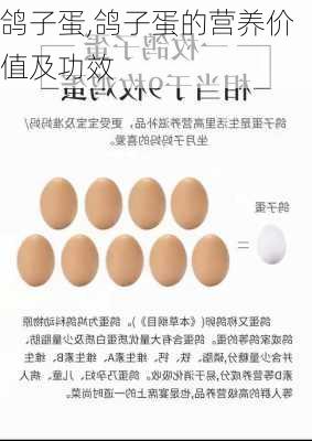 鸽子蛋,鸽子蛋的营养价值及功效